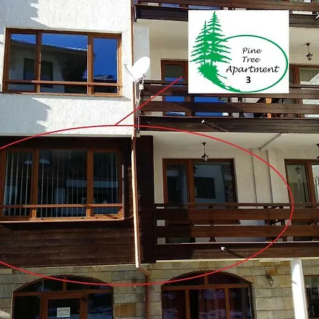 Appartamento Pine Tree 3 - B3