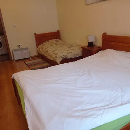 Apartament Pine Tree 3 - B3