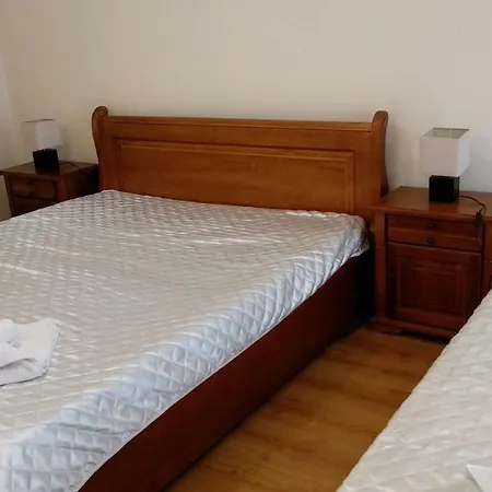 Pine Tree 3 - B3 Apartament