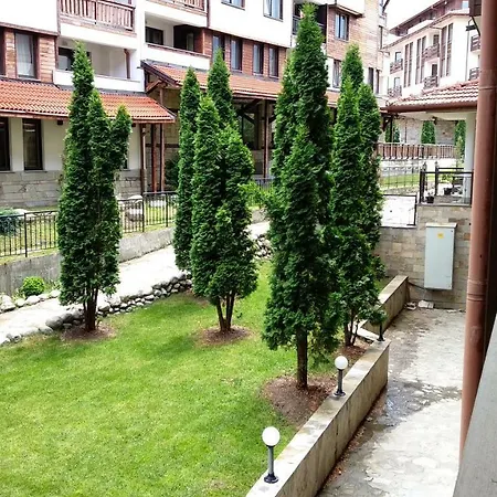 Apartment Pine Tree 3 - B3 *