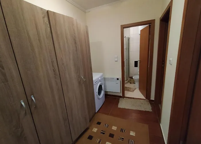 Apartment Pine Tree 3 - B3 Bansko