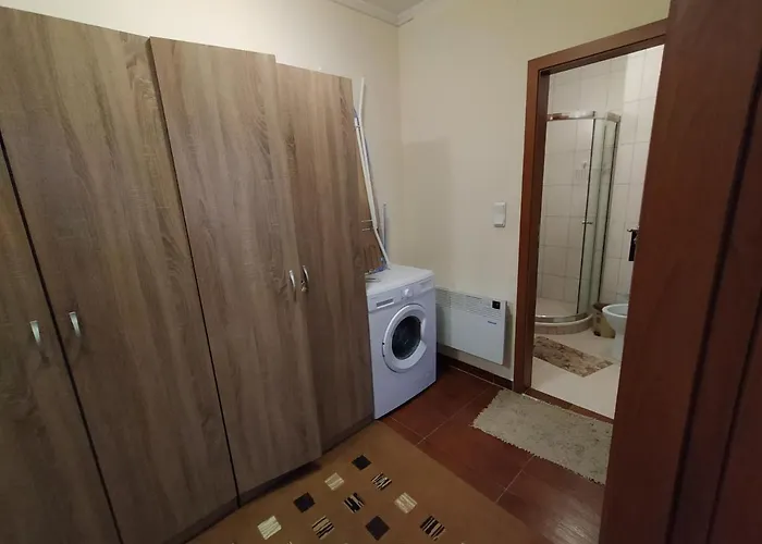 Apartment Pine Tree 3 - B3 Bansko