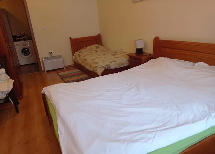 Apartment Pine Tree 3 - B3