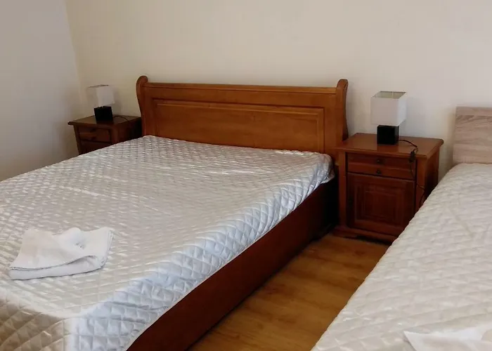 Pine Tree 3 - B3 Apartman