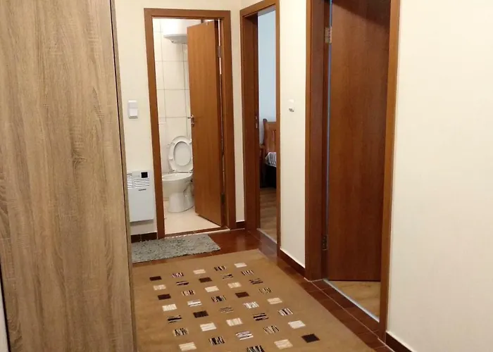 Pine Tree 3 - B3 * Bansko